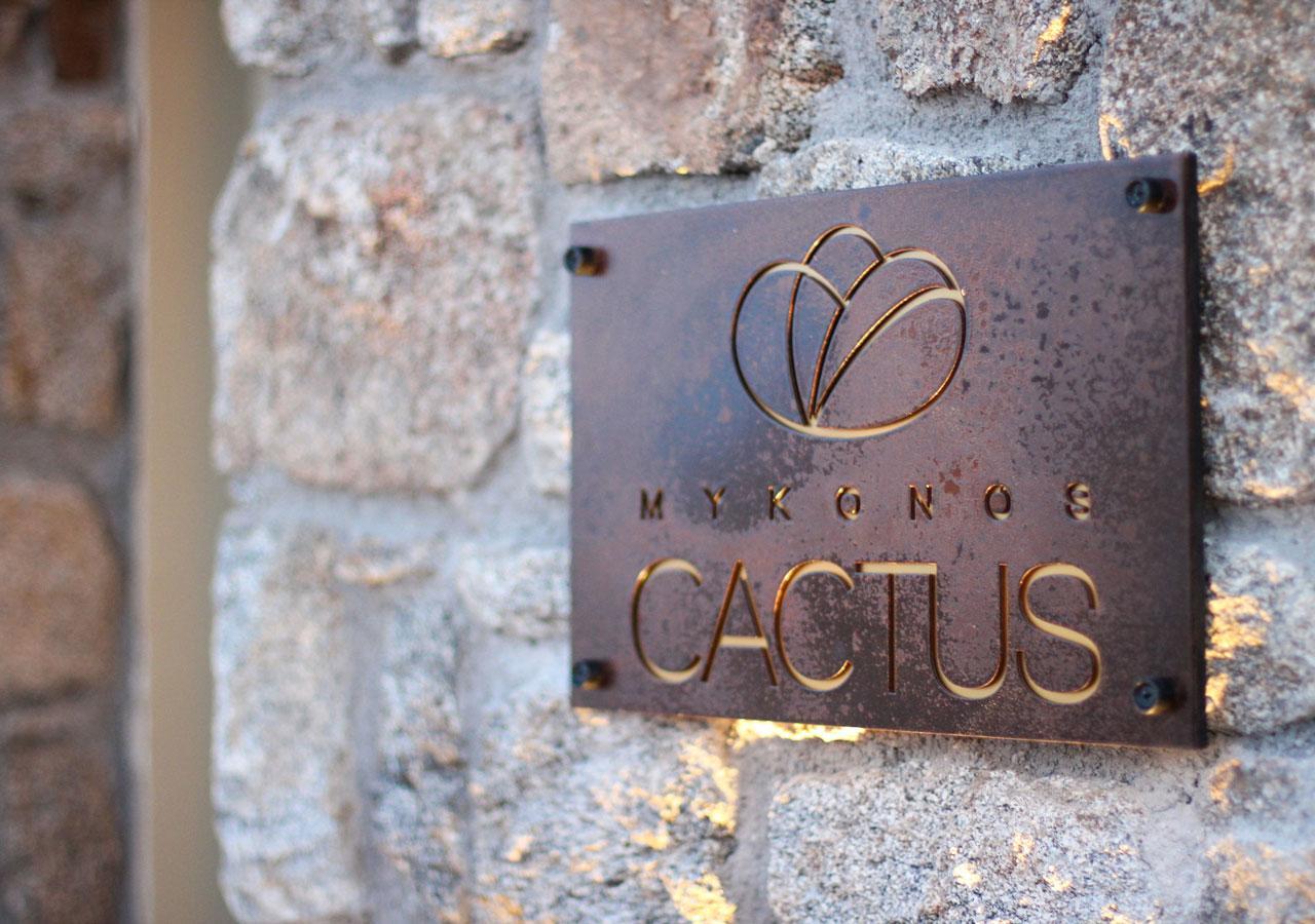 Mykonos Cactus Hotel Ornos  Bagian luar foto